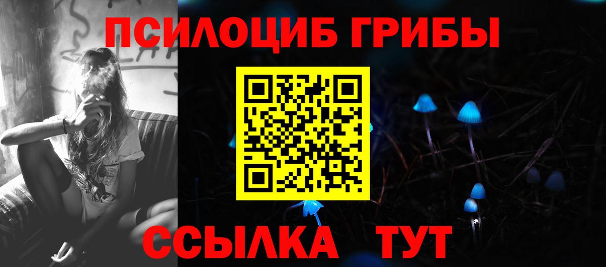 Екатеринбург  Псилоцибиновые грибы Cubensis  Вход с VPN 